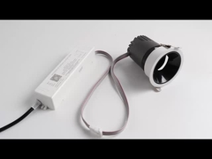 światło reflektora