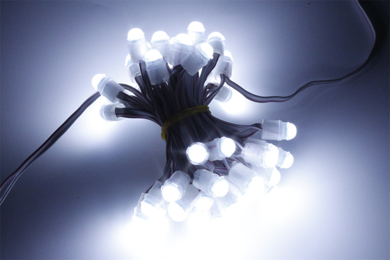 9mm LED Pixel Light, DC12V 0.2W Wodoodporne światło LED IP67 SMD2025