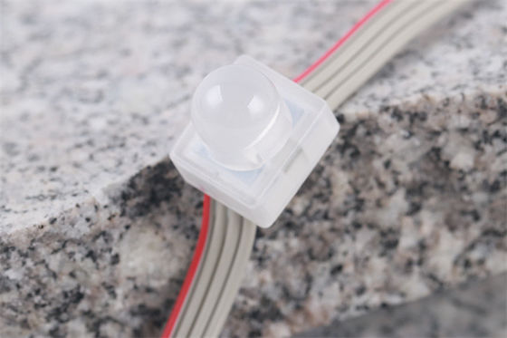 SMD5050 LED Pixel Light IP67 DC12V  0.3W Single Color Waterproof Miracle Bean