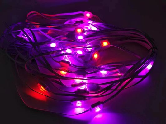 RGBW Led Christmas Party Wedding Decoration Pixel Outdoor Point Lights