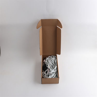 Addressable 20mm Diameter RGB Waterproof Eave Light for Permanent Christmas Decoration