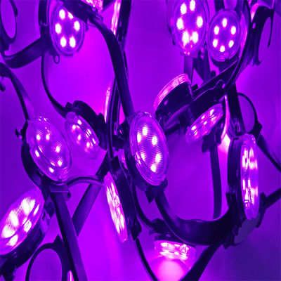 Wholesale 24v 4cm Diameter LED Pixel Lights PC Materials LED Christmas Holiday RGBW Waterproof 1.5W