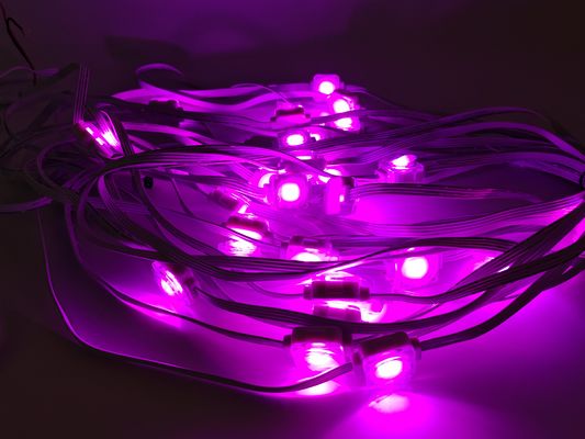 Permanent IP67 1W 20mm LED Eave Lights Environmental Friendly Decorative Lighting