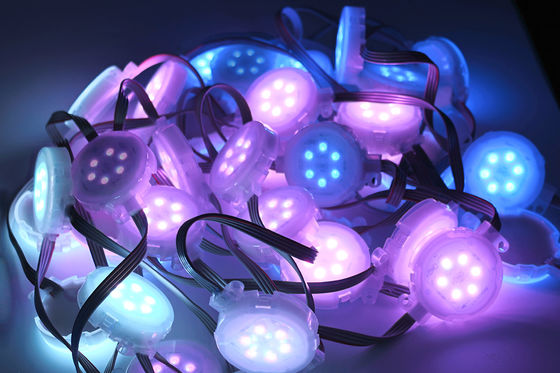 Waterproof Outdoor Garden Decoration Led Strip with SMD 5050 DC 24v Flexible Lighting