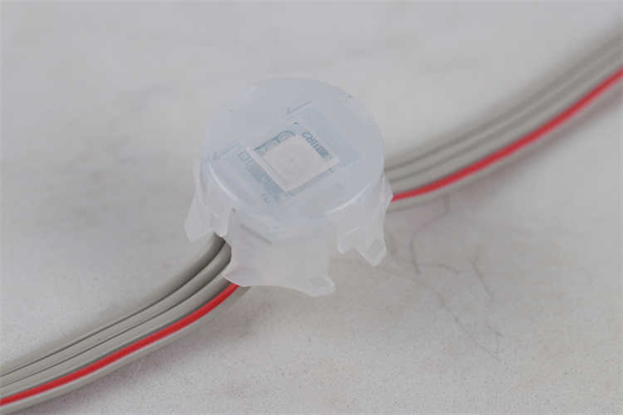 20MM Stałe światło świąteczne 5050 Rgb Rgbw 1903 2904 Dmx512 IC Led Pixel Point Light