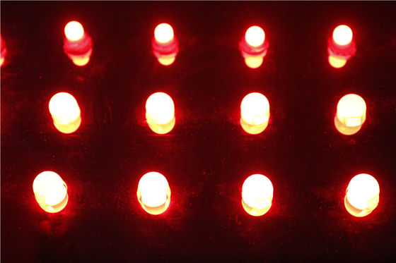 Miracle Bean Outdoor Waterproof 12mm Single Color Square LED Pixel Light