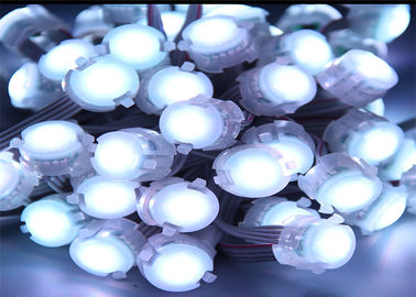 Dostosowany 1 Chip 5050 0,25 W LED Point Light Biały Single Color 20mm Pixel LED