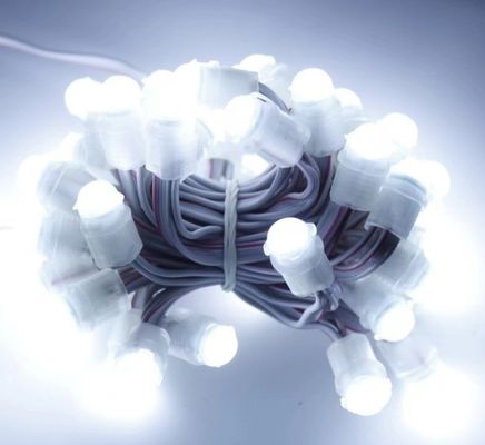 białe światło LED zewnętrzne wodoodporne 50 Leds DC 12V 9mm Led Pixel String Light