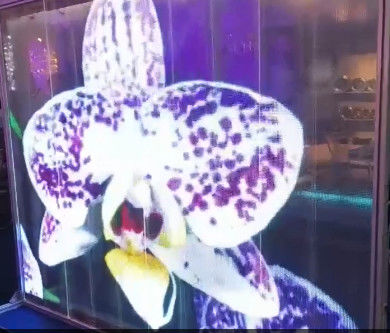 Elastyczna przezroczystość kleju LED Film Ekrany cienkiej Reklamy Video Wall P6DC5V WE2121RGB 16bit