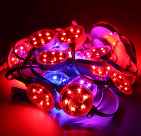 Zewnętrzny 40mm 50mm SMD3535 DMX Digital RGB Led Pixel IP67 Wodoodporny