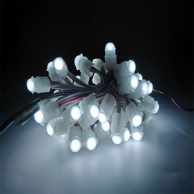 Dobra cena IP67 wodoodporny LED Pixel Light DC12V 0.2W z 30000 godzinami żywotności Dekoracja zewnętrzna Zmienna