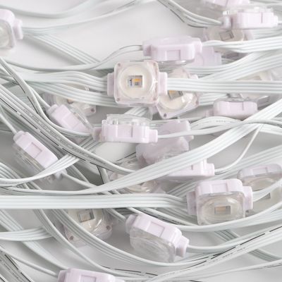 24V IP67 LED Outside Christmas Lights for Home Decoration SPI Control LED Suppliers