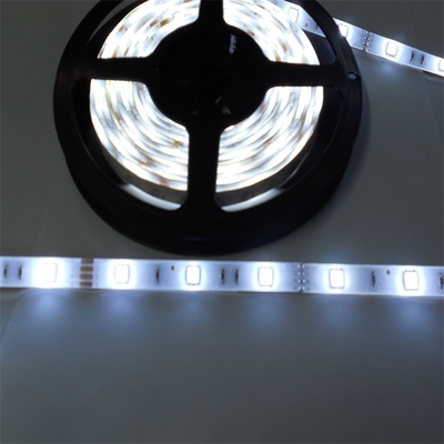 Decorative RGBW 24V 12V  Waterproof Outdoor Smart Led Strip Light Custom 5050 5M 10M 15M Wheel Light Strips