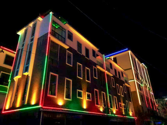 Inteligentny sterownik Wi-Fi wodoodporny IP67 RGBW 12V 30mm zewnętrzny pas LED zewnętrzny programowalny oświetlenie dekoracyjne lampa krajobrazowa