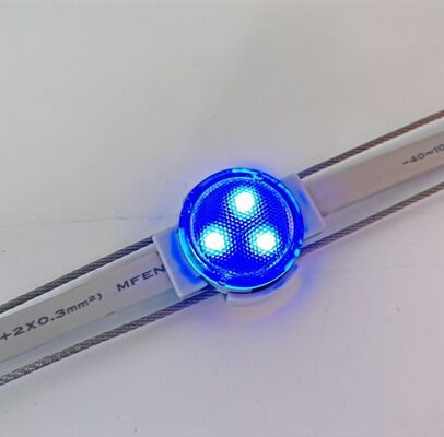 25mm Outdoor LED Point Light with IP67 Waterproof and Adjustable Color Temperature for Decorative Lighting