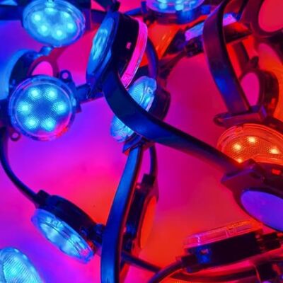 DC24V SMD3535 IP67 wodoodporne światło LED dla pomieszczeń zewnętrznych o doskonałej odporności na czynniki środowiskowe