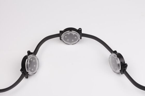 Budynek zewnętrzny RGBW 48V 40mm Fasady Hotele Dekoracje konturowe IP67 Lampa Eave Świąteczne światła 2W Led Point Light Source