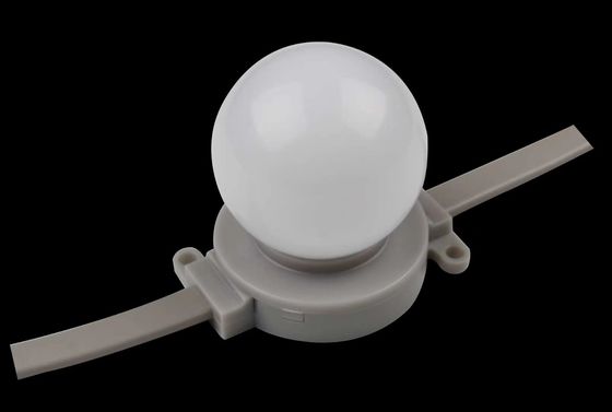 Żarówka Led Wodoodporna IP67 24v 1,5w SMD3535 Adresowalne światło kulkowe LED