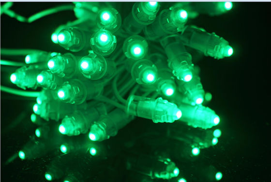 Miracle Bean 9mm 12mm 12V LED Pixel Light do listu reklamowego