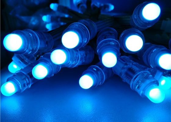 Miracle Bean 12mm Rgb Adresowalne WS2811 1903 Boże Narodzenie Pełny Kolor RGB F8 12mm 5V 12V LED Pixel Światło Z Fabryki