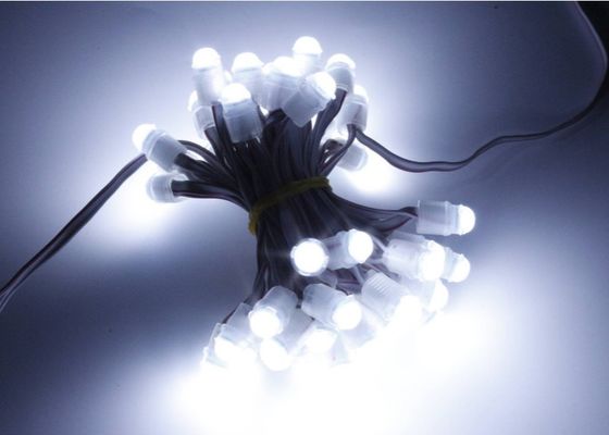 Miracle Bean 0,2 W 16 lm Punktowe światło punktowe LED 9 mm 12 V IP67