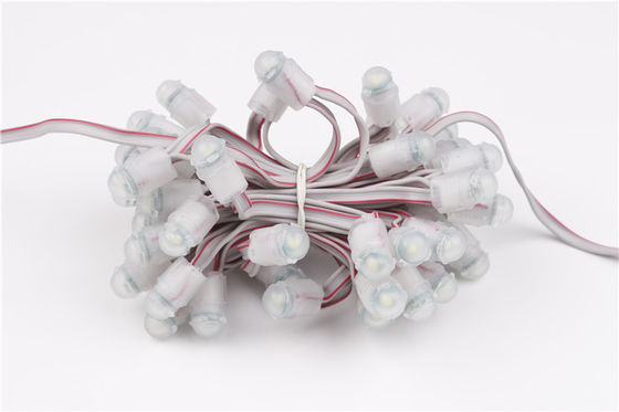 Moduł Miracle Bean SMD2025 LED Pixels 0,15W 1300mcd Wodoodporny